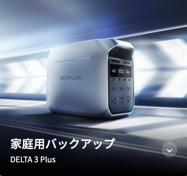 DELTA3plus_