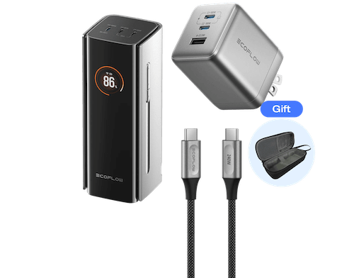 RAPID Pro Power Bank（20,000mAh）+ 100W GaN急速充電器 + 240W USB Type-C to Cケーブル