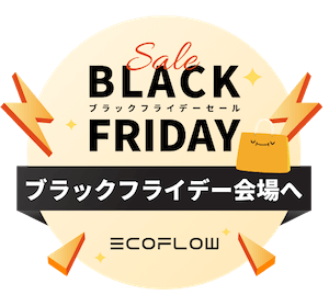 BlackFraiday_logo