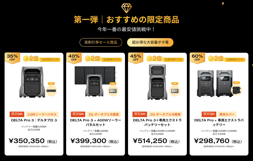 超お得な大容量ポタ電_