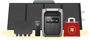 新春開運 パワー福袋　海