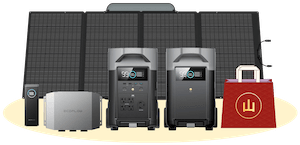 新春開運 パワー福袋　山