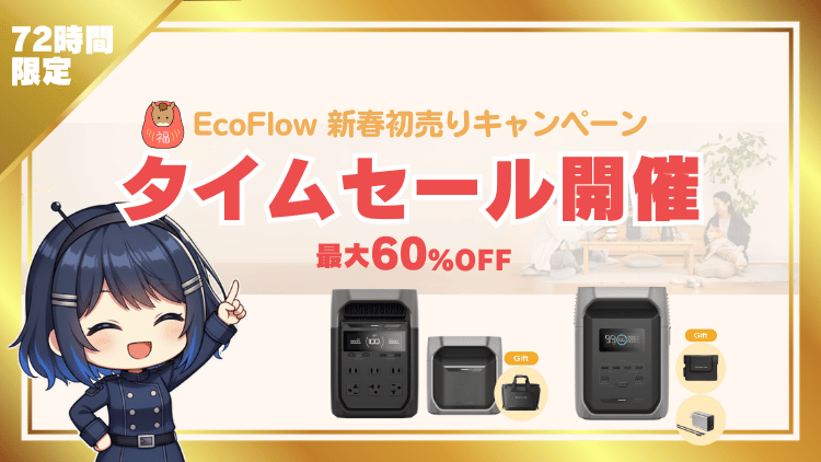 EcoFlow 72hタイムセール用__202601