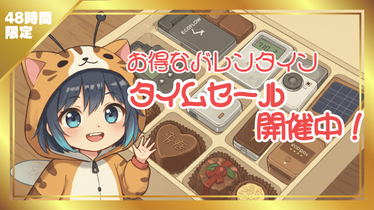 エコフロー バレンタインタイムセール開催中_